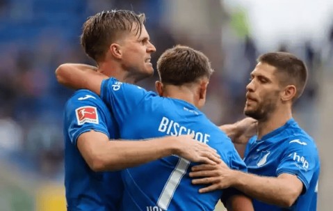 德甲 云达不来梅VS霍芬海姆